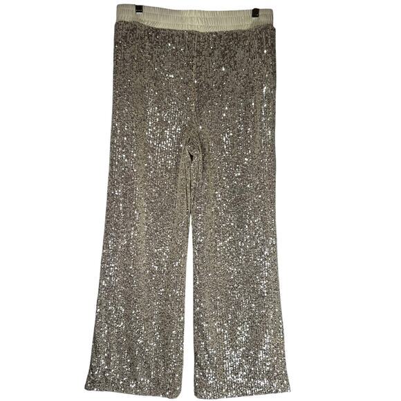 Boston Proper Sequin Wide Leg Pants Sz M Champagne Elastic Waist Stretch Shimmer - Picture 2 of 12
